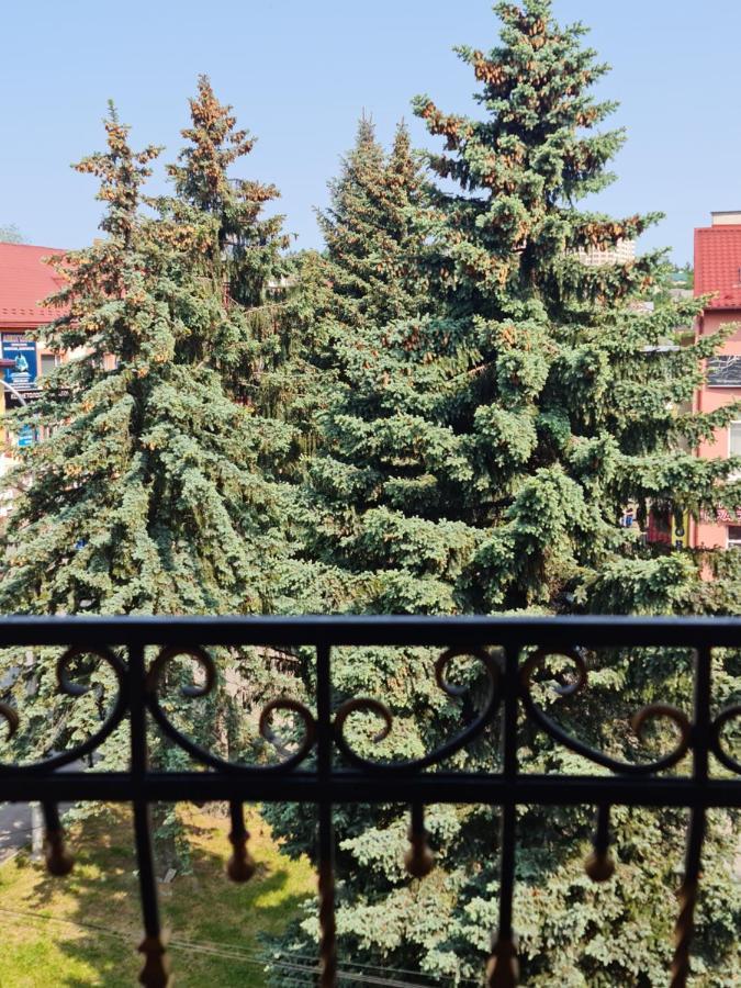 Hotel Villa Sofia Трускавец Экстерьер фото